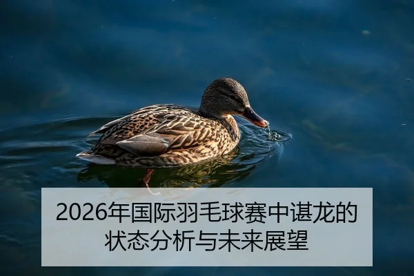 2026年国际羽毛球赛中谌龙的状态分析与未来展望