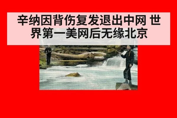 辛纳因背伤复发退出中网 世界第一美网后无缘北京
